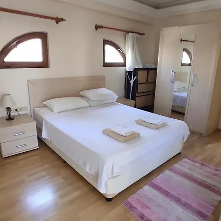 ヴィラ Phoenix フェティエ